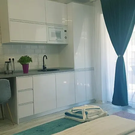 Апартаменты Garsoniera Camy *