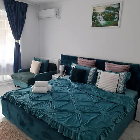 Апартаменты Garsoniera Camy *